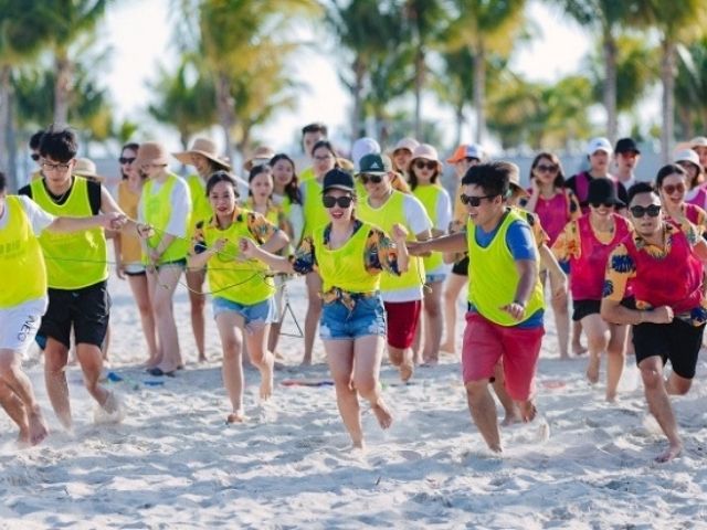 Chọn màu sắc theo nhận diện thương hiệu & phân nhóm