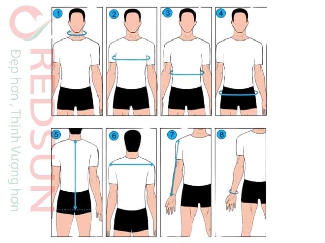 Lựa chọn size theo bảng size của cơ sở may áo thun đồng phục