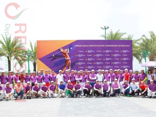 Áo thun đồng phục màu tím của ngan hàng TP bank