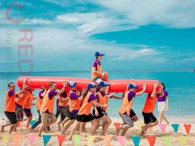 Màu sắc nổi bật, dễ nhận diện