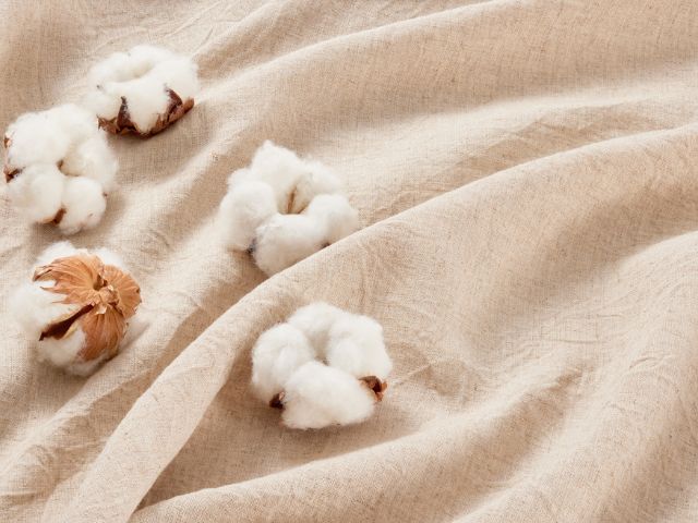 Ban đầu, vải thun cá sấu chủ yếu được làm từ 100% cotton , mang lại sự mềm mại