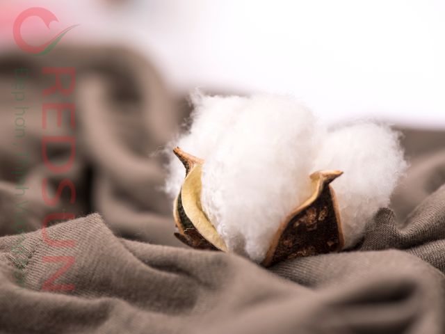 Vải thun cá mập PE 2 chiều thường không có xu hướng xù lông như một số loại vải khác